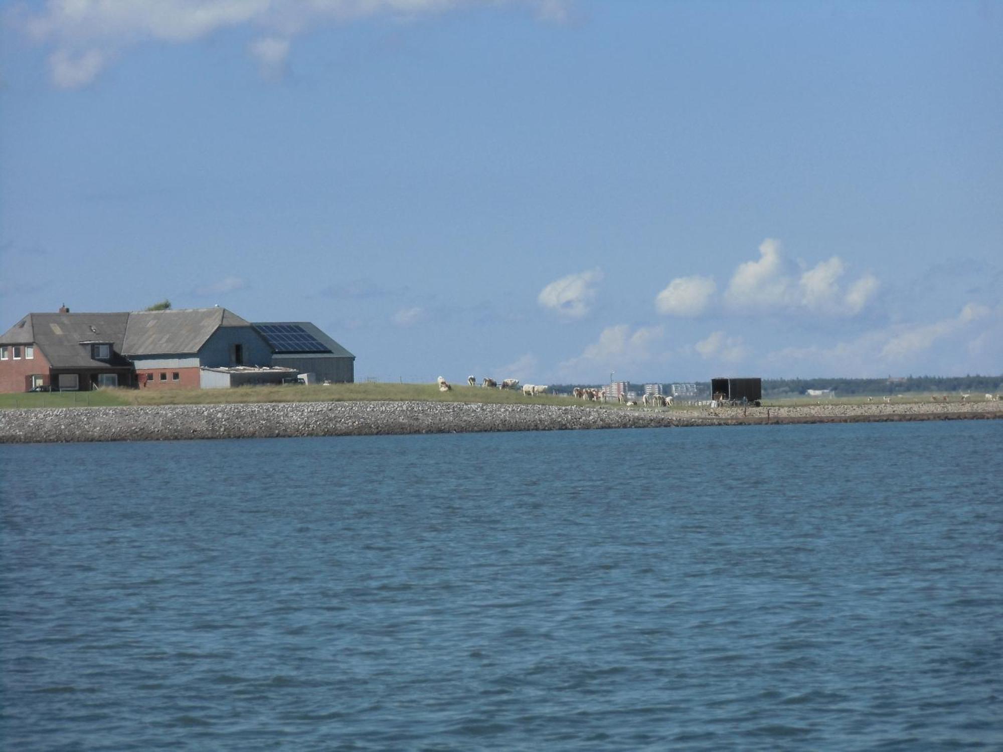 Friesenhaus Am Meer Dagebüll Exterior foto
